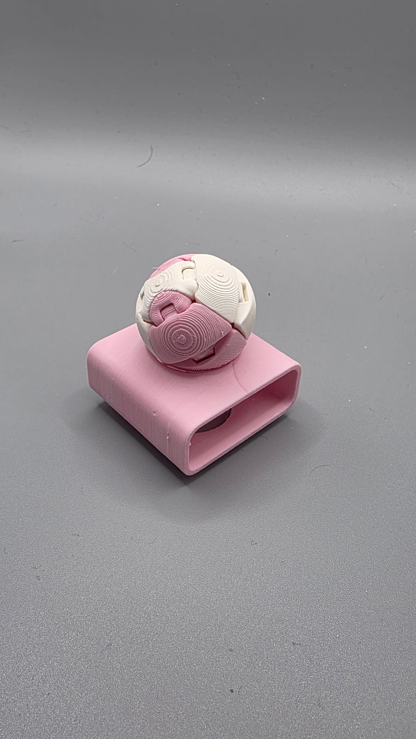 Sensit Zorbles – Squishy Click Sensory Fidget